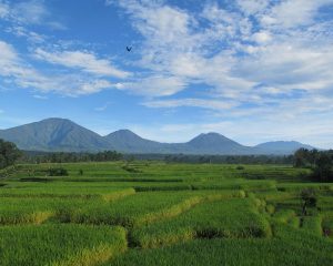 Bali Silent Retreat Mount Batukaru