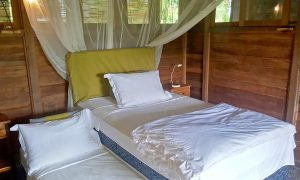 Bali Silent Retreat Delux Wooden Bungalow interior