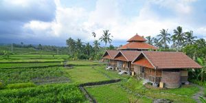 Bali Silent Retreat Private Bungalow