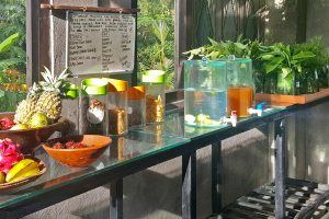 Bali Silent Retreat - Snack bar